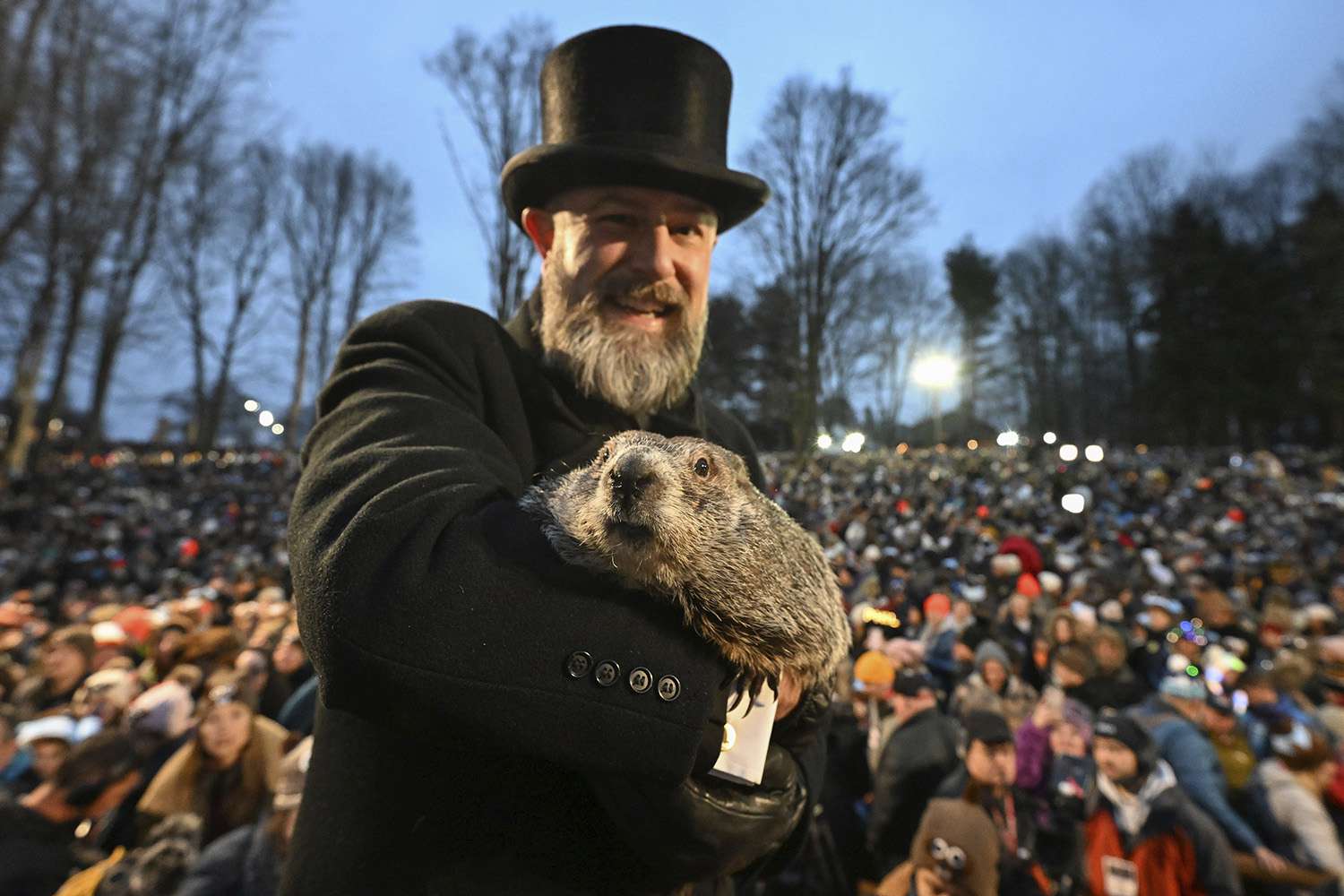 Punxsutawney Phil